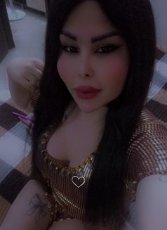 اليسار - Transsexual escort in Damascus Photo 3 of 4