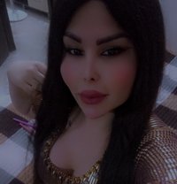 اليسار - Acompañantes transexual in Damascus