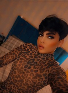 شوشو - Transsexual escort in Dubai Photo 5 of 6
