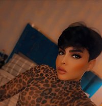 شوشو - Transsexual escort in Dubai