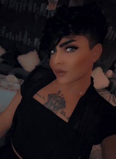 شوشو - Transsexual escort in Dubai Photo 5 of 5