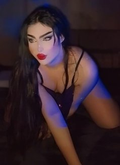 عسل اربيل - Transsexual escort in Erbil Photo 3 of 3