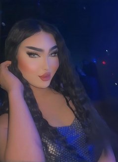 عسل شيميل اربيل - Acompañantes transexual in Erbil Photo 1 of 3