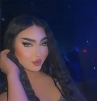 عسل شيميل اربيل - Transsexual escort in Erbil