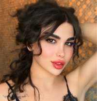عسليه - Transsexual escort in Erbil