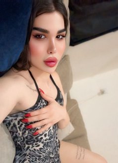 عسليه - Transsexual escort in Erbil Photo 22 of 25