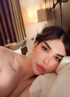 عسليه - Acompañantes transexual in Erbil Photo 24 of 30