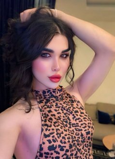 عسليه - Acompañantes transexual in Erbil Photo 27 of 30