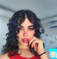 عسليه - Transsexual escort in Erbil