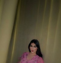 عسل اربيل - Transsexual escort in Erbil