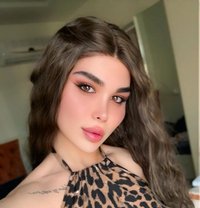 عسليه - Transsexual escort in Erbil