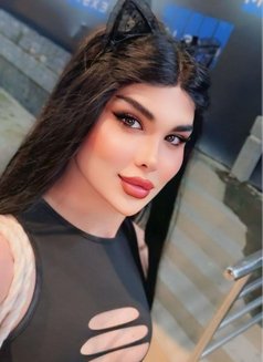 عسليه - Transsexual escort in Erbil Photo 25 of 28