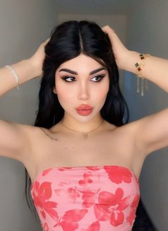 عسليه - Transsexual escort in Erbil Photo 30 of 30
