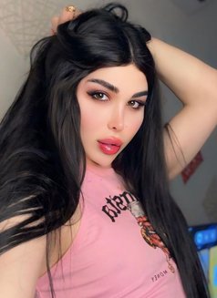 عسليه - Transsexual escort in Erbil Photo 22 of 30