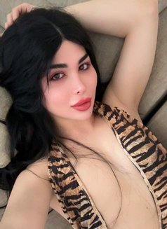 عسليه - Transsexual escort in Erbil Photo 29 of 30