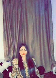 ديفا جودي شيميل - Acompañantes transexual in Erbil Photo 10 of 21
