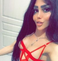 ديفا ريحانه - Acompañantes transexual in Erbil