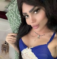 ديفا ريحانه - Transsexual escort in Erbil