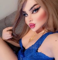 الاسطوره هيفا - Transsexual escort in Erbil