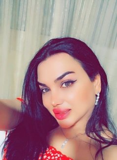 رهف شيميل اربيل - Transsexual escort in Erbil Photo 8 of 11