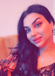 رهف شيميل اربيل - Transsexual escort in Erbil Photo 9 of 11