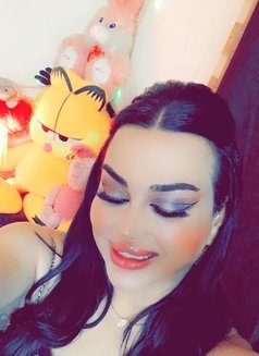 رهف شيميل اربيل - Transsexual escort in Erbil Photo 10 of 11