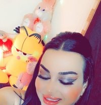 رهف شيميل اربيل - Transsexual escort in Erbil