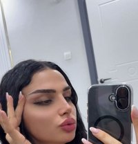 دانو شيميل اسطنبول - Transsexual escort in İstanbul