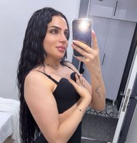دانو شيميل اسطنبول - Transsexual escort in İstanbul