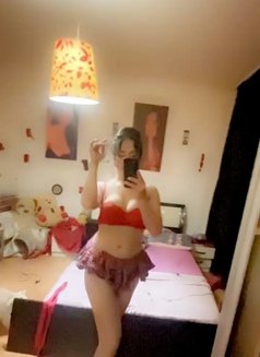 20cm عربيةArabic_shemale_istanbul_ليالي - Transsexual escort agency in İstanbul Photo 7 of 18
