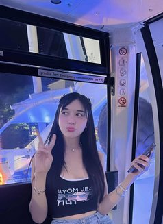 新新美丽 - escort in Pattaya Photo 12 of 17