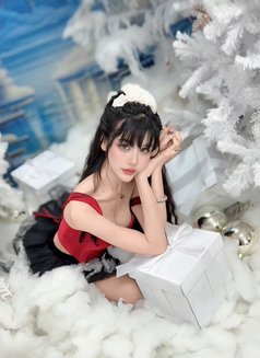 新新美丽 - puta in Taipei Photo 8 of 12