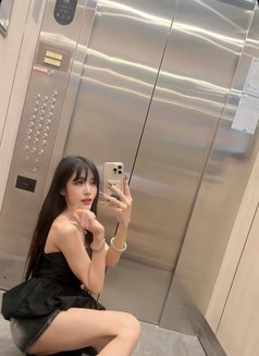 新新美丽 - puta in Taipei Photo 12 of 12