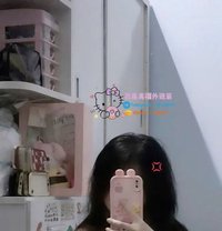 夢花營 - escort agency in Taipei