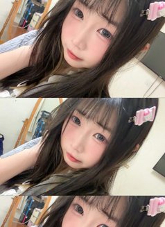 嬌小可愛小貓 - escort in Taipei Photo 1 of 3