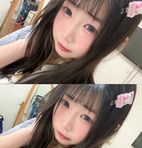 嬌小可愛小貓 - escort in Taipei