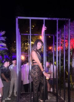 สีแดง - puta in Bangkok Photo 7 of 8