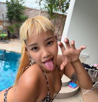 สีแดง - escort in Pattaya