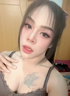 เฟิร์สท็อป~(ตอนนี้เลดี้บอย) - escort in Muscat Photo 14 of 17