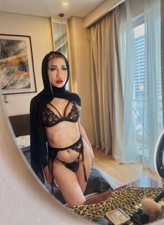 New Miguel in abudhabi now 🇹🇭 - Acompañantes transexual in Abu Dhabi Photo 13 of 17