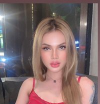 ดาวศุกร์ - Acompañantes transexual in Bangkok