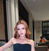 ดาวศุกร์ - Transsexual escort in Bangkok