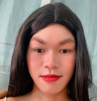 ลื่นลี่ - Transsexual adult performer in Bangkok