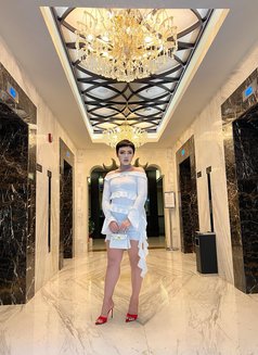 อามินา - Transsexual escort in Bangkok Photo 7 of 7