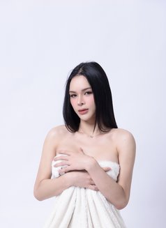 โชคดี - Transsexual escort in Dubai Photo 6 of 28