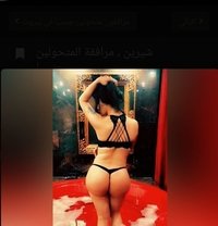 شيرين - Transsexual escort in Beirut