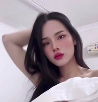 มิเกล กระเทยไทย - Transsexual escort in Dammam