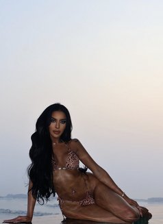أميرة - Transsexual escort in Dubai Photo 27 of 30