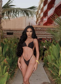 أميرة - Transsexual escort in Dubai Photo 30 of 30