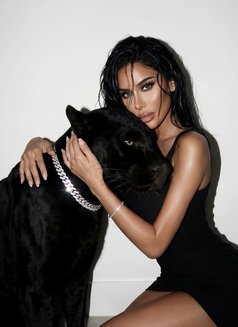 أميرة ‍ - Acompañantes transexual in Dubai Photo 30 of 30